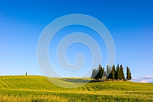 Beautiful Tuscany landscape