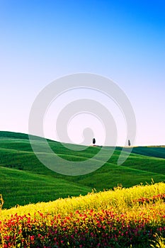 Beautiful Tuscany landscape