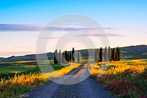 Beautiful Tuscany landscape