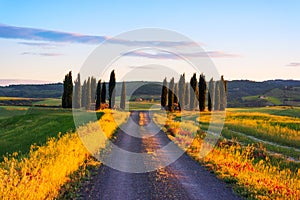 Beautiful Tuscany landscape