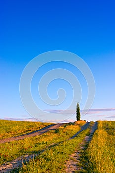 Beautiful Tuscany landscape