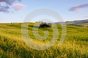 Beautiful Tuscany landscape