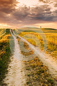 Beautiful Tuscany landscape