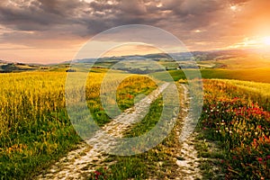 Beautiful Tuscany landscape