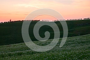 Beautiful Tuscany landscape