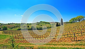 Beautiful Tuscany landscape in Italy .