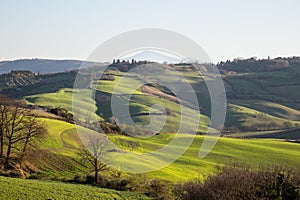 Beautiful Tuscany landscape in spring time with wave green hills and isolated trees. Tuscany, Italy, Europe