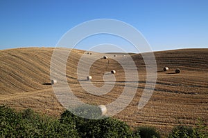 Beautiful Tuscany Landscape, Val D`Orcia