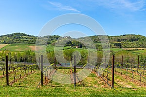 Beautiful Tuscany landscape with vineyards in Chianti in spring. Tuscany, Italy