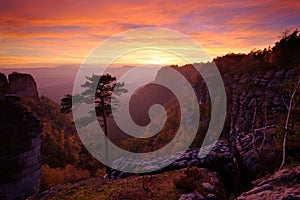 Beautiful twilight sunset landscape. Evening it rocky hill with big pine tree. Sun with ping and orange sky. Evening sun during