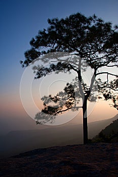 Beautiful twilight sunset at Phu Kra Dung