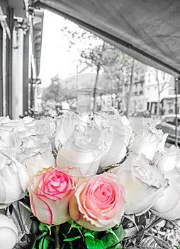 Beautiful two pink roses flowers at a parisian flower store