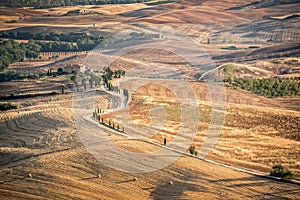 Beautiful typical countryside summer landscape in Tuscany Italy