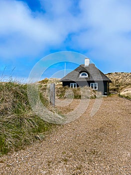 Beautiful typical house in the nature of Skagen in northern Jutland in Denmark, Skagerrak, North Sea photo