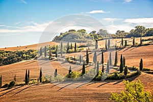 Beautiful typical landscape of Tuscany with rows of cypresses, La Foce, Tuscany Italy photo