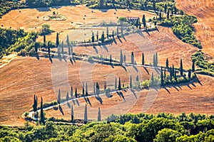 Beautiful typical landscape of Tuscany with rows of cypresses, La Foce, Tuscany Italy