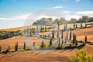 Beautiful typical landscape of Tuscany with rows of cypresses, La Foce, Tuscany Italy
