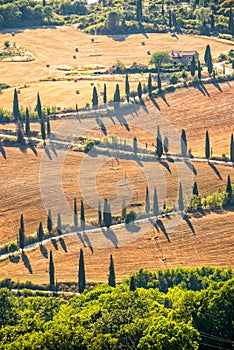 Beautiful typical landscape of Tuscany with rows of cypresses, La Foce, Tuscany, Italy