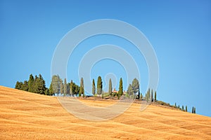Beautiful typical landscape of Val d`Orcia in Tuscany withvivid colors in summer, Val d`Orcia, Tuscany Italy