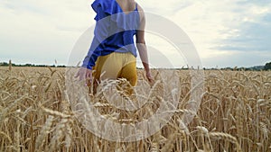 Beautiful Ukrainian woman wearing dress in Ukrainian national flag colours, blue and yellow, at wheat field in morning