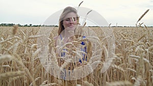 Beautiful Ukrainian woman wearing dress in Ukrainian national flag colours, blue and yellow, at wheat field in morning