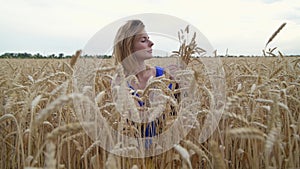 Beautiful Ukrainian woman wearing dress in Ukrainian national flag colours, blue and yellow, at wheat field in morning