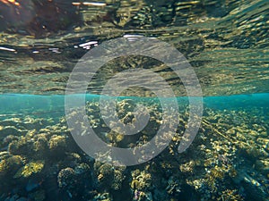 Beautiful underwater world. Coral reef. Rays of light underwater.