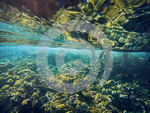 Beautiful underwater world. Coral reef. Rays of light underwater.