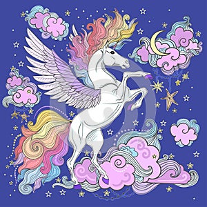 Beautiful unicorn among clouds and stars