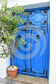 Beautiful and unique blue door and plant in Frigiliana - Spanish white village Andalusia