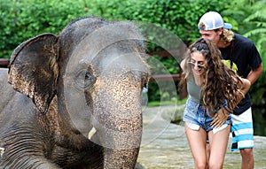 Beautiful unique elephant with couple at an elephants conservation reservation in Bali Indonesia