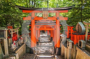 Beautiful unique red wooden gates in a garden Fushimi inari shrine in Kyoto Japan