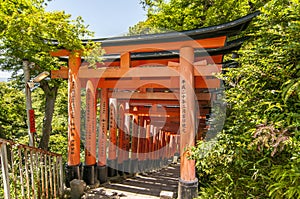 Beautiful unique red wooden gates in a garden Fushimi inari shrine in Kyoto Japan
