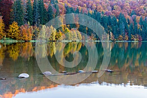 Beautiful unique vulcanic lake at autumn, Lake Saint Ana deciduous colorful woods mixed with pine woods reflecting on the crys