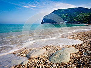 The beautiful and unspoilt pebble beach in Sirolo, Conero mount, Italy. photo