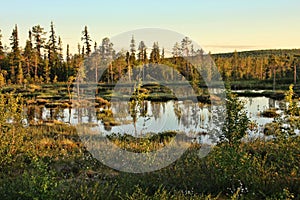 Beautiful untouched nature of the Finnish Lakes, Norway