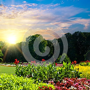 Beautiful urban park with a flower garden and sunrise