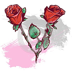 Beautiful Valentines Day Roses Vector Illustration