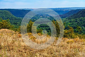 Beautiful valley with green trees, forest on a hill and wild grass, blue sky with clouds on the horizon, beautiful summer