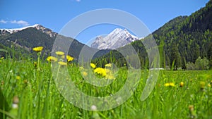 Beautiful Valley in the Italian Alps