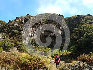 Beautiful Valley and Meadow