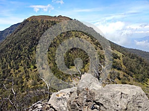 Beautiful Valley and Meadow