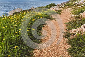 Beautiful valley by the sea. Trail leading along the coast. Seascape in Cyprus Ayia Napa