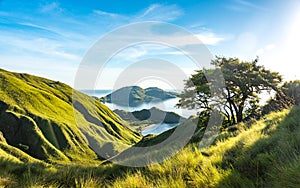 Beautiful Valley View of Gili Lawa Island photo