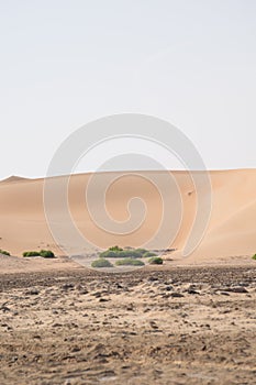 A beautiful valley view of Liwa desert, Abu Dhabi with cloudy blue sky and a nice muddy ground on the fore ground