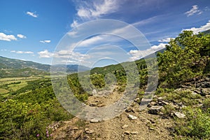 Beautiful valley with wooden overlook, trial above the trees in summer