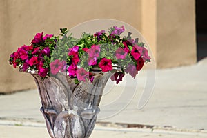 Beautiful vase flowerbed in an urban environment