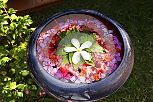 Beautiful vase with flowers on Maldive islands