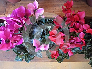 Vase with red silk flowers photo