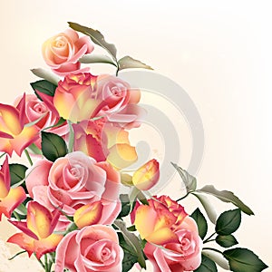 Beautiful vector background with roses